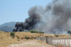 Φωτογραφίες από τη φωτιά σε Εγλυκάδα και Ρηγανόκαμπο