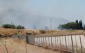 Φωτογραφίες από τη φωτιά σε Εγλυκάδα και Ρηγανόκαμπο - Φωτογραφία 5