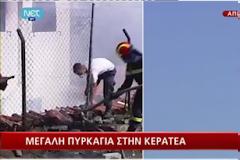 Προσπαθούν να σώσουν το δάσος του Πόρτο Ράφτη