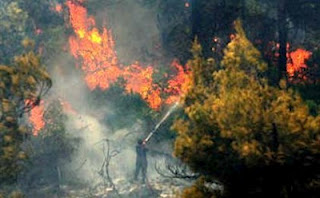 Νέα μέτωπα πυρκαγιών στην Κρήτη - Φωτογραφία 1