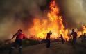 Εκτεταμένες πυρκαγιές στην Πορτογαλία