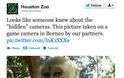 Μαϊμού ανακάλυψε κρυφή κάμερα... Δείτε τη φωτογραφία... - Φωτογραφία 2