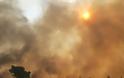 Βιβλικές καταστροφές σε Χανιά και Ρέθυμνο από τις φωτιές σε Κίσαμο και Πλακιά αντίστοιχα