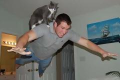 ΔΕΙΤΕ: Γάτες που φωτογραφήθηκαν την κατάλληλη στι