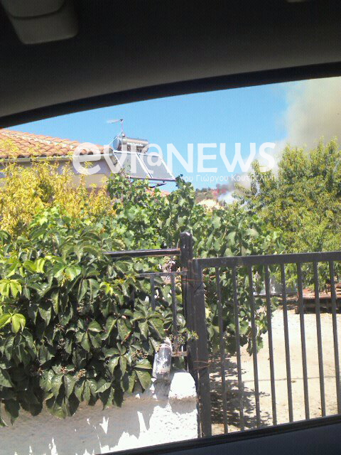 Φωτογραφίες από την πυρκαγιά στην Ιστιαία - Φωτογραφία 2
