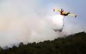 Υπό μερικό έλεγχο οι πυρκαγιές σε Λευκάδα και Εύβοια