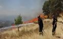 Υπό μερικό έλεγχο εξακολουθεί να βρίσκεται η φωτιά στην Κίσαμο Χανίων