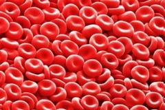 ΕΚΠΛΗΚΤΙΚΕΣ ΦΩΤΟ: Δείτε το ανθρώπινο σώμα στο… μικροσκόπιο!