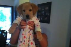 ΔΕΙΤΕ: Ζώα έτοιμα για ύπνο