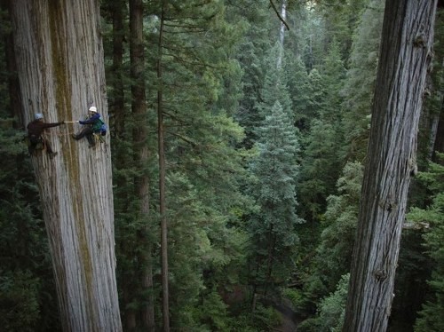 ΔΕΙΤΕ: Τις καλύτερες φωτογραφίες του National Geographic! - Φωτογραφία 11