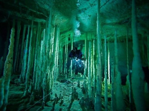 ΔΕΙΤΕ: Τις καλύτερες φωτογραφίες του National Geographic! - Φωτογραφία 4