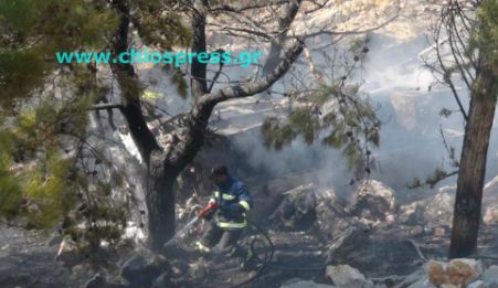 Ασύλληπτη τραγωδία στη Χίο - 12 νεκροί [ΦΩΤΟ - ΒΙΝΤΕΟ] - Φωτογραφία 5