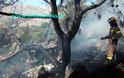 Οι πρώτες φωτογραφίες από το δυστύχημα στη Χίο - Φωτογραφία 2