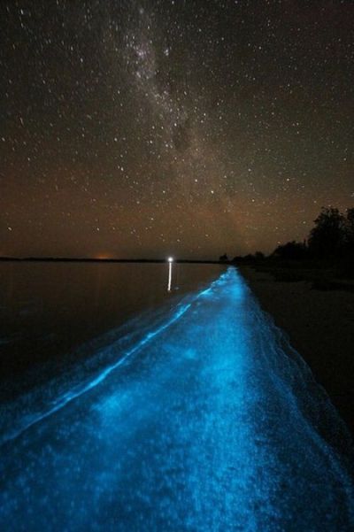 Η λίμνη που λάμπει στην Αυστραλία - Φωτογραφία 6