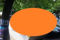 Δε θα πιστέψετε τι πέταξαν σε κάδο της Θεσσαλονίκης..! (ΦΩΤΟ)