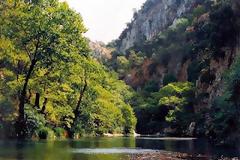 Σουηδός βοτανολόγος αναδεικνύει τη χλωρίδα της χώρας μας