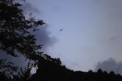 Σε ύφεση η δασική πυρκαγιά στην ορεινή περιοχή του Λουτρακίου Πέλλας