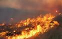 Σε εξέλιξη οι πυρκαγιές σε Λακωνία και Γιάννενα
