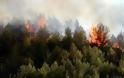 Σε εξέλιξη οι πυρκαγιές σε Λακωνία και Ιωάννινα