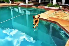 15+1 εικόνες που θα σας δροσίσουν!