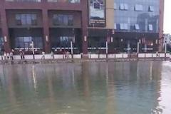 Πήγε το κατοικίδιο του για κολύμπι... [Photos]