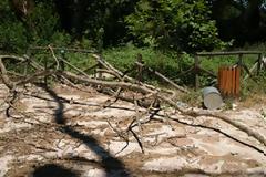 Γέμισε χορτάρια ο αρχαιολογικός χώρος Φανωτής...