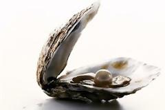 Βρέθηκε το μεγαλύτερο μαργαριτάρι του κόσμου;