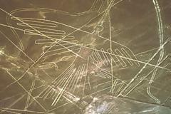 Τα 5 μεγαλύτερα αινίγματα της ανθρωπότητας