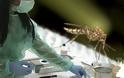 ΚΕΕΛΠΝΟ: Στα 14 τα κρούσματα από τον ιό του Δυτικού Νείλου