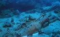 Υποβρύχια αναγνωριστική έρευνα στη θαλάσσια περιοχή Μακρονήσου – Λαυρεωτικής  Διαβάστε περισσότερα Ἔρρωσο: Υποβρύχια αναγνωριστική έρευνα στη θαλάσσια περιοχή Μακρονήσου – Λαυρεωτικής - Φωτογραφία 2