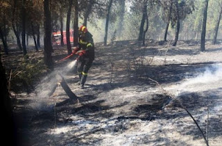Πόσες εκτάσεις κάηκαν στις πυρκαγιές του Ιουλίου - Φωτογραφία 1