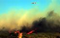 ΕΚΤΑΚΤΟ: Πυρκαγιά στην Καμενίτσα Αχαΐας