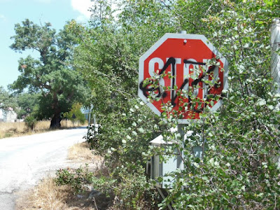 Δρόμος Μαχαιράς-Αστακός: Κατεστραμμένες οι Πινακίδες οδικής σήμανσης! - Φωτογραφία 3
