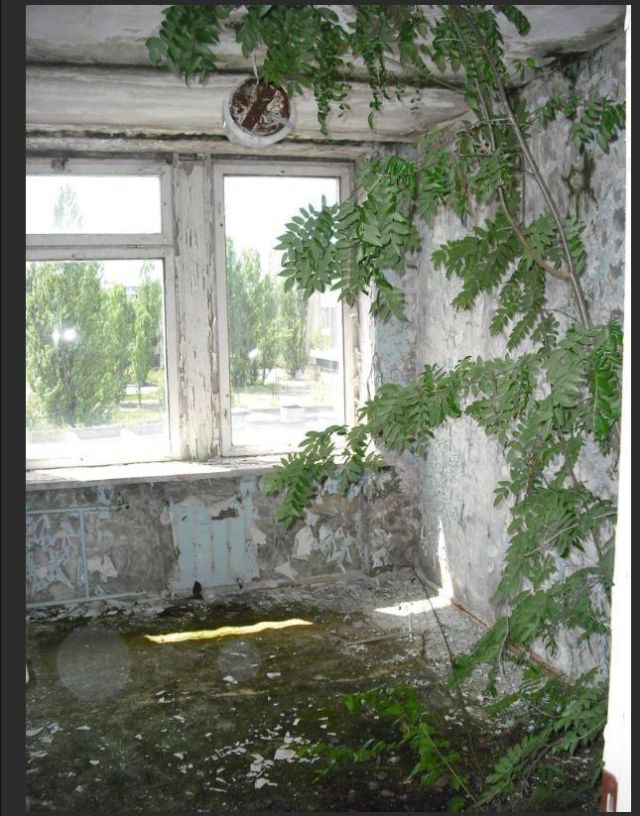Mια επίσκεψη στην πόλη φάντασμα Pripyat! - Φωτογραφία 11