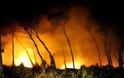Ανυπολόγιστη οικολογική καταστροφή από τη φωτιά στη Ζάκυνθο