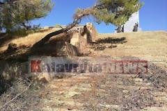 Καλάβρυτα: Λεηλάτησαν τα πεύκα πίσω απο το μνημείο του 1821