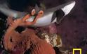 Χταπόδι VS Καρχαρίας - Ποιος θα φάει ποιον; (video)