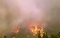 Πυρκαγιά στον Κεραμέ του Ρεθύμνου. Εκκενώνεται ένας οικισμός, η φωτιά έχει πλησιάσει σε σπίτια
