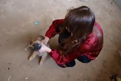 ΣΟΚ: Μοντέλο σκότωσε κουτάβι σε φωτογραφική επίδειξη!