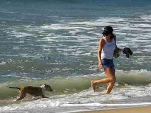 Τι ορίζει ο νόμος για τα σκυλάκια στην παραλία - Φωτογραφία 1