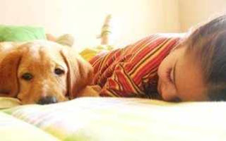 Οι σκύλοι προστατεύουν τα βρέφη από λοιμώξεις - Φωτογραφία 1