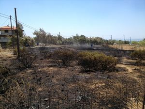 Μικρή φωτιά στο Φραγκοκάστελο Χανίων - Φωτογραφία 2