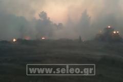 Σε ύφεση η πυρκαγιά στην Κασσάνδρα Χαλκιδικής ΦΩΤΟ   Read more: http://www.seleo.gr/index.php?option=com_content&view=article&id=64512:2012-07-29-18-08-27&catid=1:latest-news&Itemid=50#ixzz222N4tRRa  Seleo.gr News