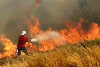 Υπό μερικό έλεγχο τέθηκε η πυρκαγιά στη Χίο - Φωτογραφία 1