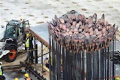 Τους έσβησε η Ολυμπιακή Φλόγα!