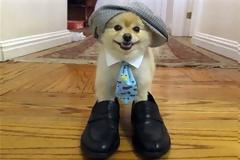 ΔΕΙΤΕ: Ξεκαρδιστική η κάθε τους στιγμή