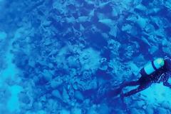 Η συναρπαστική ζωή ενός ενάλιου αρχαιολόγου