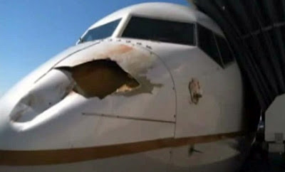 Απίστευτη ζημιά από σύγκρουση αεροπλάνου με πουλί - Φωτογραφία 1