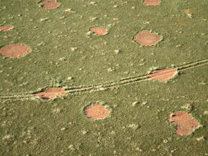Οι μυστήριοι κύκλοι νεράιδων της Ναμίμπια - Φωτογραφία 1