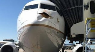Δείτε τι ζημιά μπορεί να προκαλέσει σε ένα αεροπλάνο ένα πουλί [pics] - Φωτογραφία 1